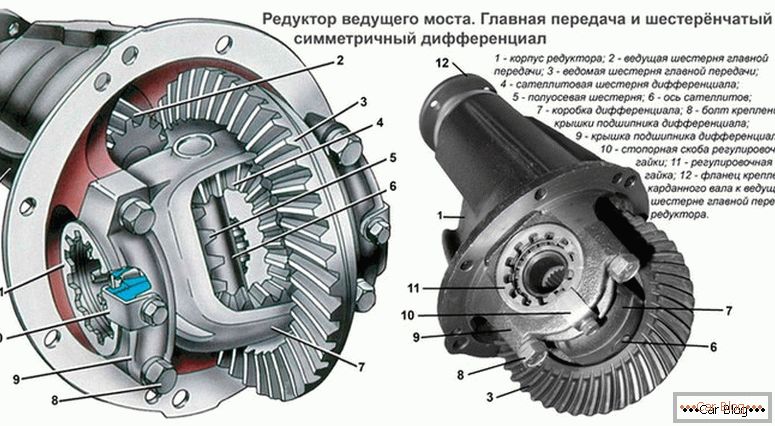 how the car differential works