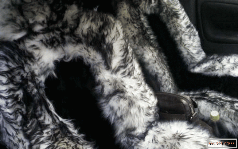 where to find sheepskin capes on car seats