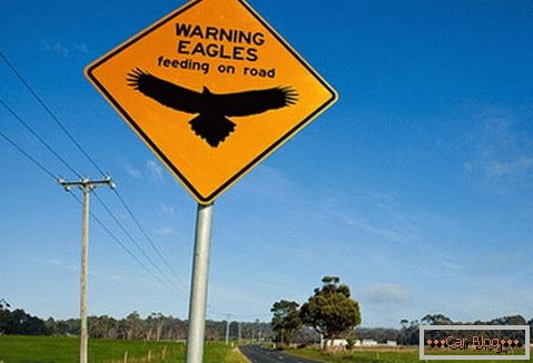 Warning of the possibility of encountering eagles on the road