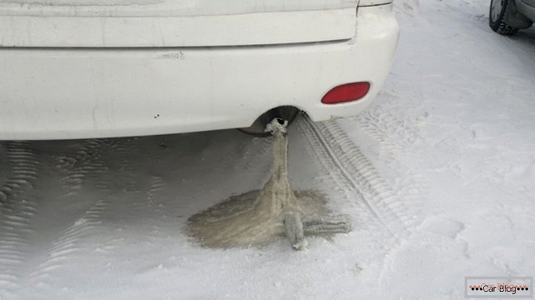 Frozen car exhaust system